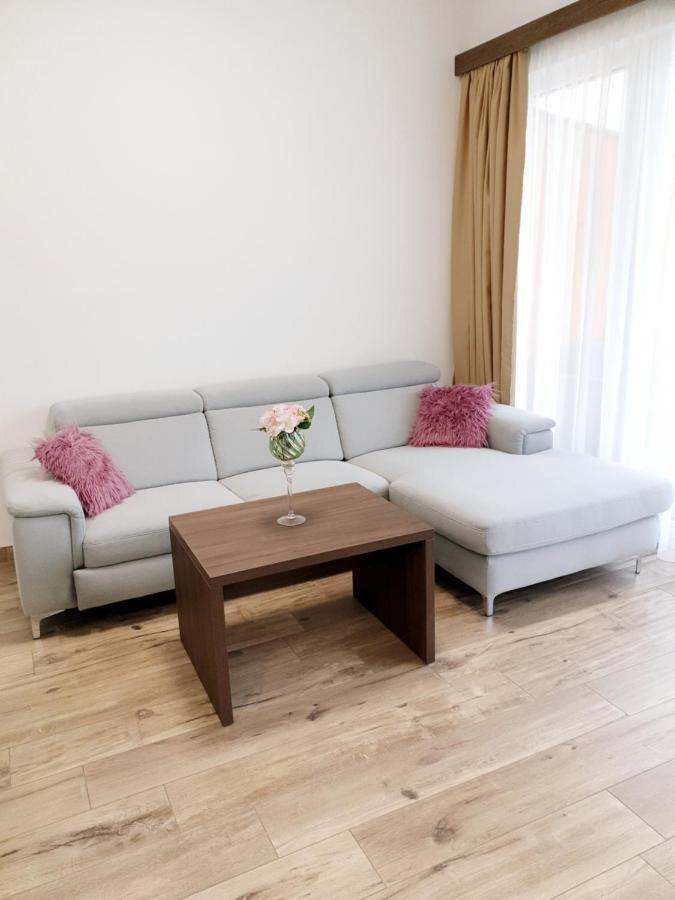 Cityapartment Monika Schladming Esterno foto